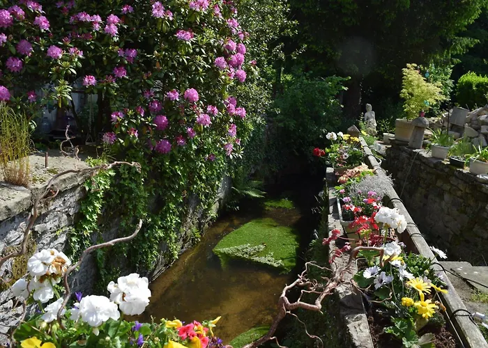 Domaine Du Bouleau - Meuble T2 Bains-les-Bains